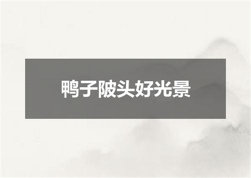鸭子陂头好光景