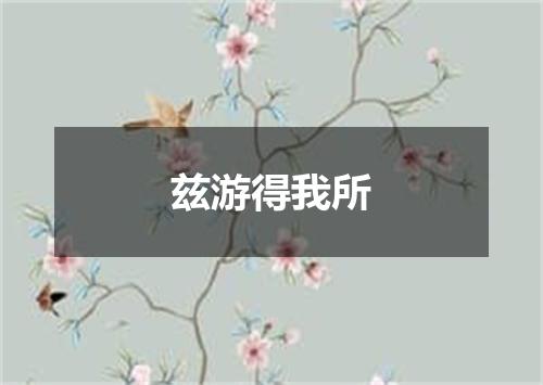 兹游得我所