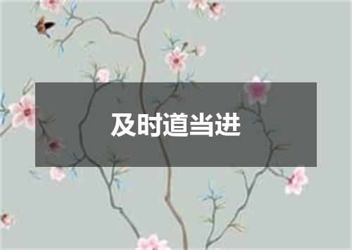 及时道当进
