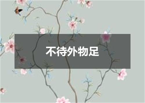 不待外物足