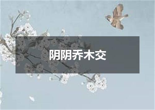 阴阴乔木交