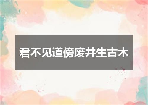 君不见道傍废井生古木