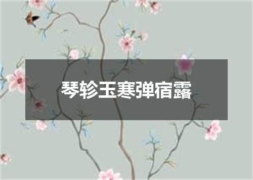 琴轸玉寒弹宿露