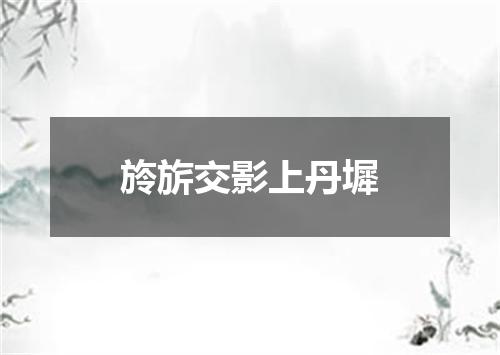 旍旂交影上丹墀