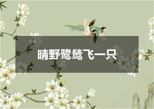 晴野鹭鸶飞一只