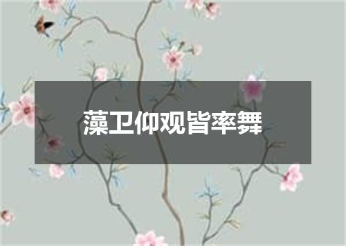 藻卫仰观皆率舞