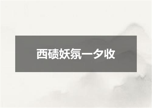 西碛妖氛一夕收