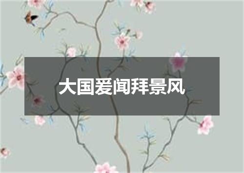 大国爰闻拜景风