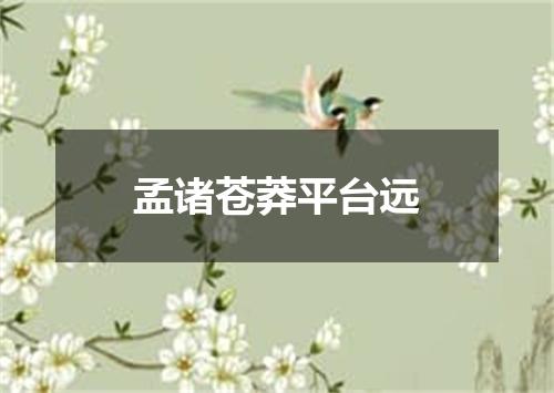 孟诸苍莽平台远