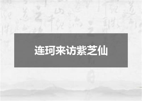连珂来访紫芝仙