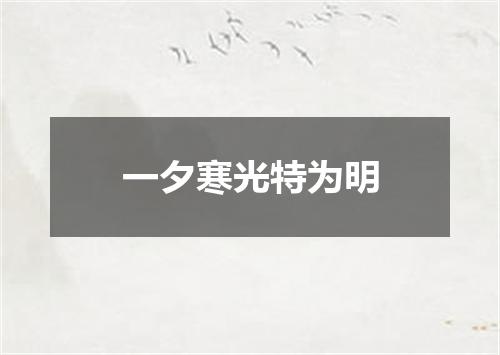 一夕寒光特为明