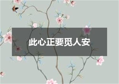 此心正要觅人安