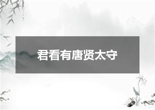 君看有唐贤太守