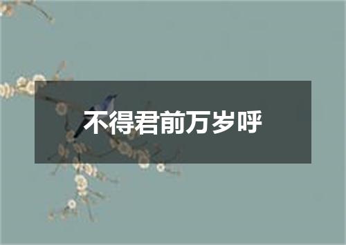 不得君前万岁呼