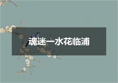 魂迷一水花临浦