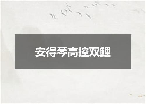 安得琴高控双鲤