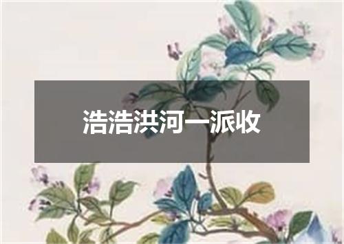 浩浩洪河一派收