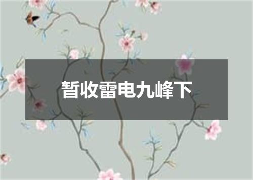 暂收雷电九峰下