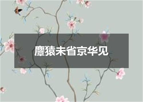 麞猿未省京华见