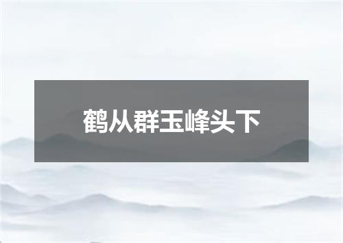鹤从群玉峰头下