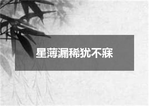 星薄漏稀犹不寐