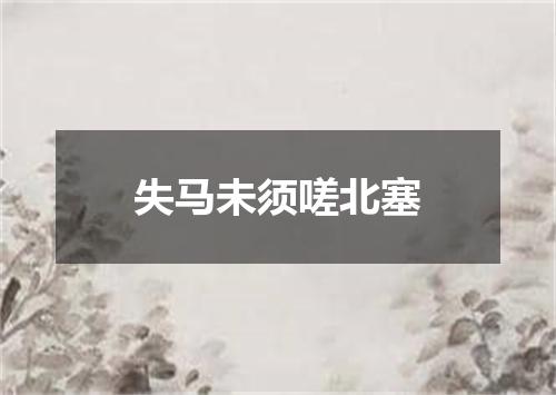 失马未须嗟北塞