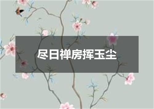 尽日禅房挥玉尘
