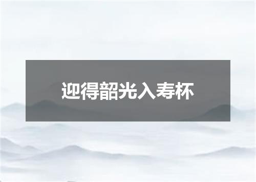 迎得韶光入寿杯