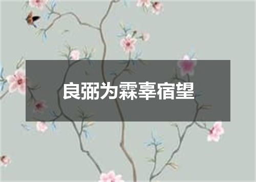 良弼为霖辜宿望