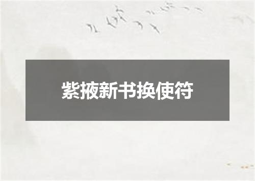 紫掖新书换使符