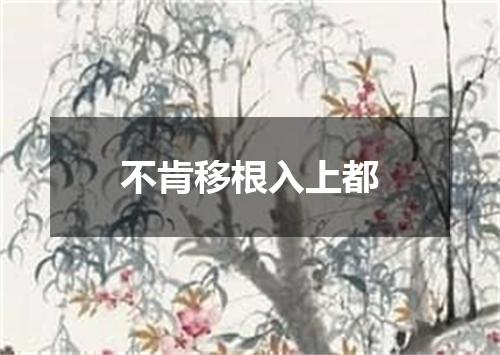 不肯移根入上都