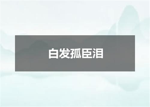 白发孤臣泪