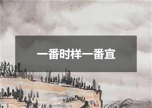一番时样一番宜