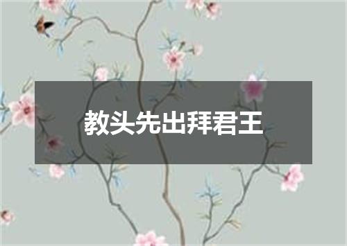 教头先出拜君王