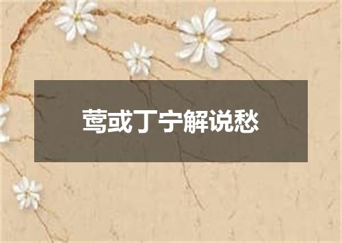 莺或丁宁解说愁