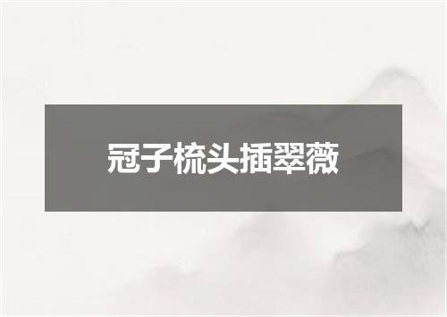冠子梳头插翠薇