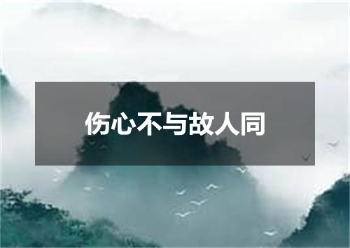 伤心不与故人同