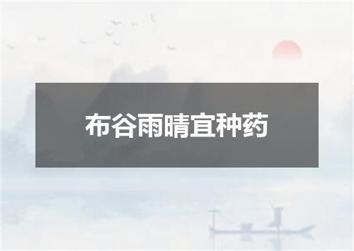 布谷雨晴宜种药