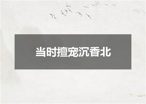 当时擅宠沉香北