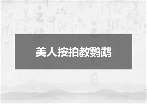 美人按拍教鹦鹉