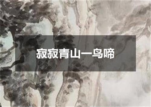 寂寂青山一鸟啼