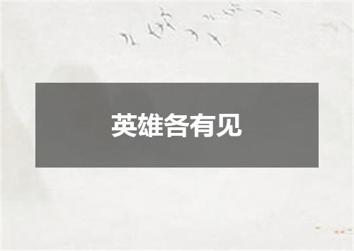 英雄各有见