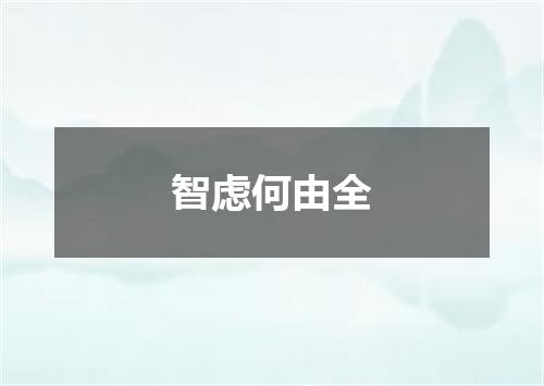 智虑何由全