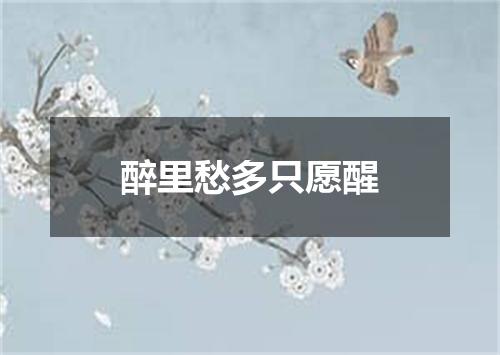 醉里愁多只愿醒