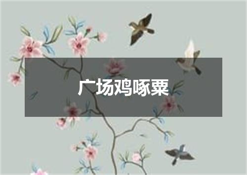 广场鸡啄粟