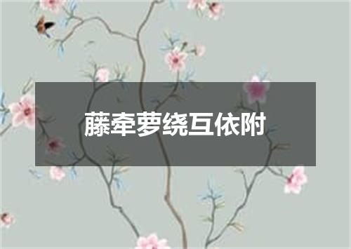 藤牵萝绕互依附