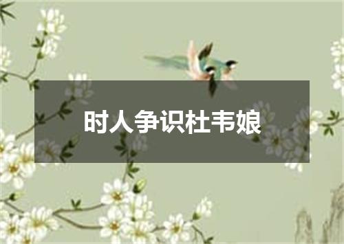 时人争识杜韦娘