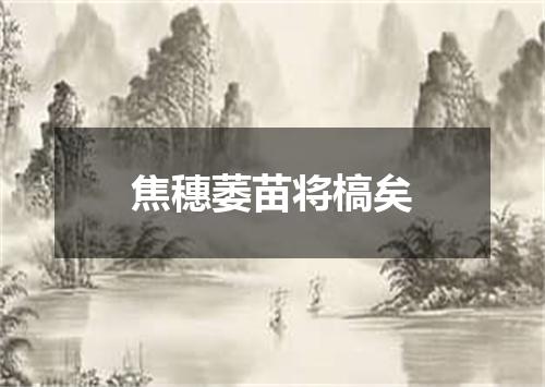 焦穗萎苗将槁矣