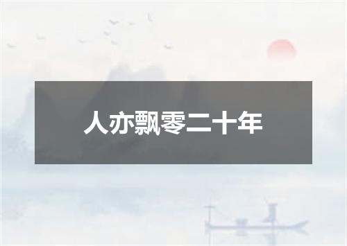 人亦飘零二十年