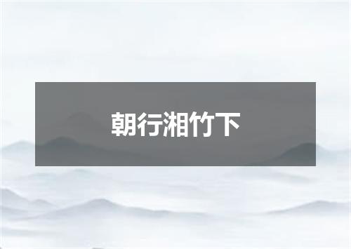 朝行湘竹下